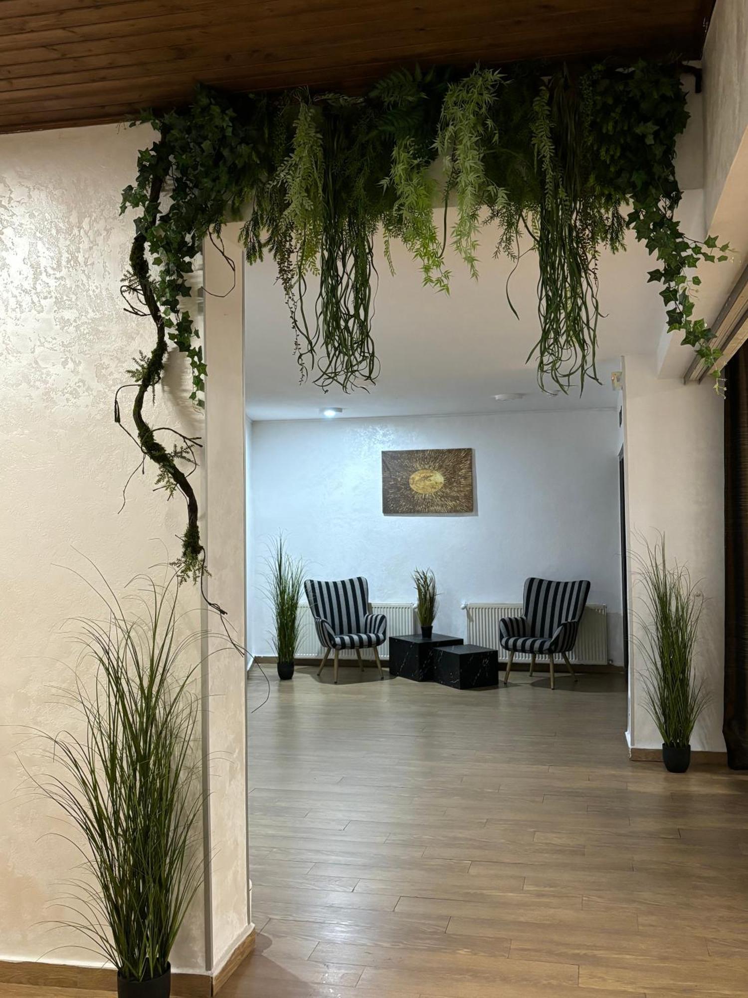 Hotel Soimul Braşov Buitenkant foto